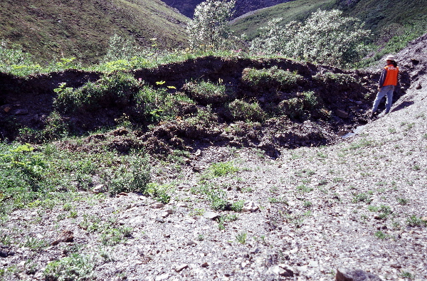 Field photo: Gillett, gully 8m, 1410 david.jpg