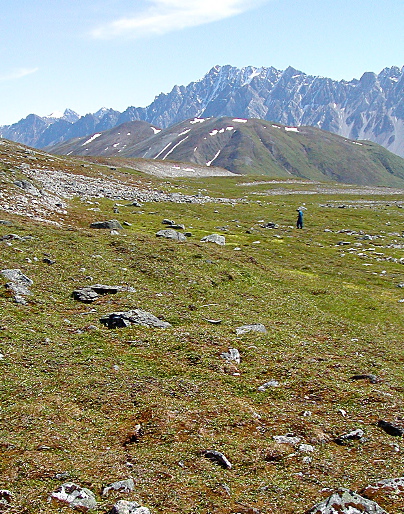 Field photo: SGSP08 _02 steve.jpg