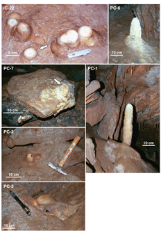 A photo montage of all stalagmites (in the field) cored or collected and analyzed during this investigation. IC = Illinois Caverns and PC = Pautler Cave.