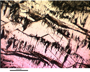 Stalagmite FC-9 in PL (a) and CL (b) showing boundaries between growth laminae as termination of crystal faces.  Cathodoluminescence shows the crystal faces to be lighter in colorsuggesting a greater organic content. A scalenahedron of calcite is seen cross-cutting annual laminae in PL.