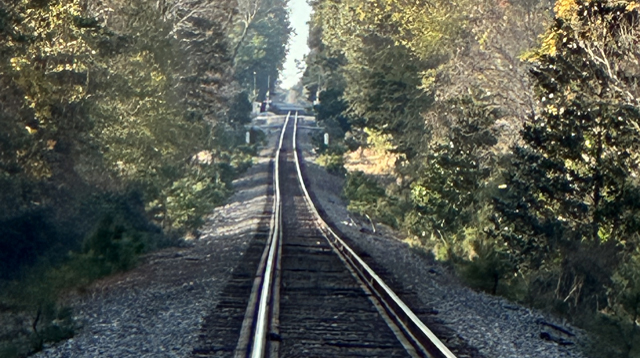 railroad track south of Summerville SC