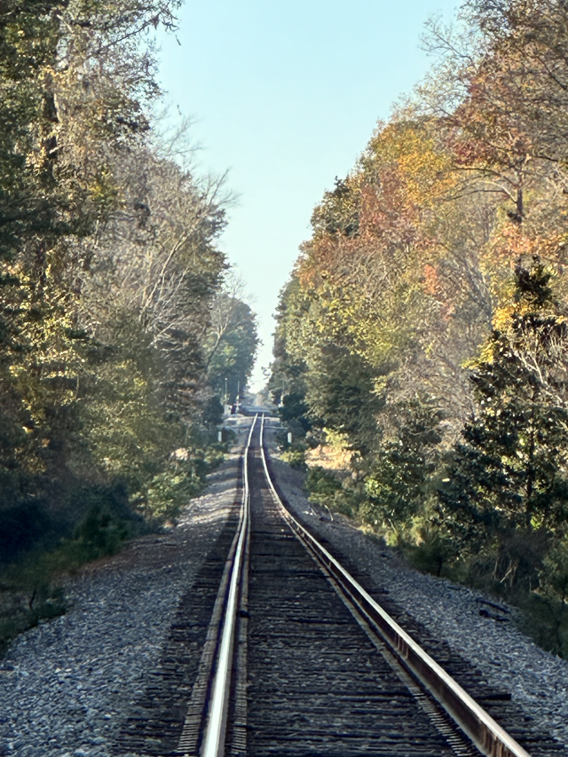 railroad track south of Summerville SC